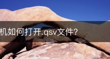 安卓手机如何打开.qsv文件？