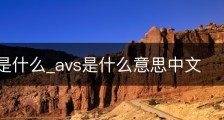 avast!是什么_avs是什么意思中文