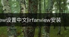 irfanview设置中文|irfanview安装
