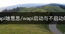 启动wapi啥意思/wapi启动与不启动的区别