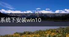 ubuntu系统下安装win10
