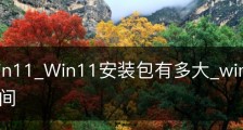 安装Win11_Win11安装包有多大_win11安装需要多大空间