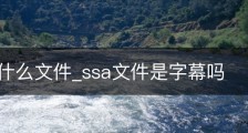 SSA是什么文件_ssa文件是字幕吗