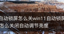 win11自动锁屏怎么关win11自动锁屏关闭教程|win11怎么关闭自动调节亮度