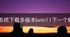 win11系统下载多版本|win11下一个版本
