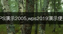 妙用WPS演示2005,wps2019演示使用教程