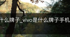 vivo是什么牌子_vivo是什么牌子手机中文叫什么