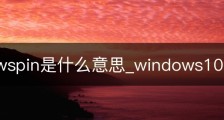 windowspin是什么意思_windows10pin是什么