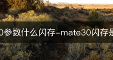 mate30参数什么闪存-mate30闪存是几代？