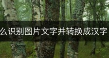 苹果怎么识别图片文字并转换成汉字