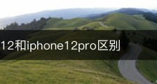 iphone12和iphone12pro区别