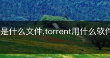 torrent是什么文件,torrent用什么软件可以打开