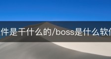 boss软件是干什么的/boss是什么软件下载