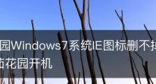番茄花园Windows7系统IE图标删不掉的解决方法_番茄花园开机
