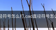cad直径符号怎么打,cad直径符号怎么打 cad的偏差