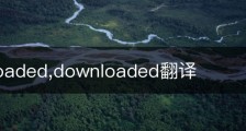 downloaded,downloaded翻译