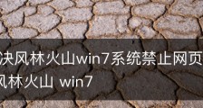 巧妙解决风林火山win7系统禁止网页播放背景音乐-风林火山 win7