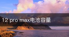 iphone 12 pro max电池容量
