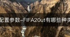 fifa20配置参数-FIFA20ut有哪些种类的卡？