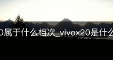 vivox20属于什么档次_vivox20是什么手机型号