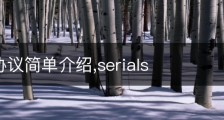 serial协议简单介绍,serials