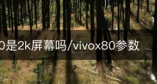 vivox80是2k屏幕吗/vivox80参数