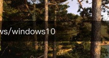 windows/windows10