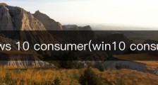 windows 10 consumer(win10 consumer)
