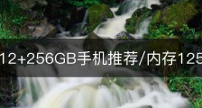 大内存12+256GB手机推荐/内存125g的手机