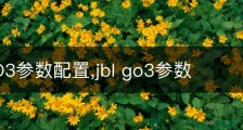 JBLGO3参数配置,jbl go3参数