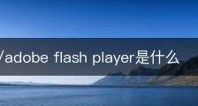 adobe/adobe flash player是什么