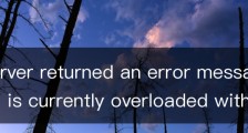 The server returned an error messageThat model is currently overloaded with other requests. You can 