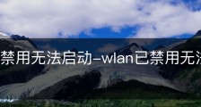 wlan已禁用无法启动-wlan已禁用无法启动网络连接