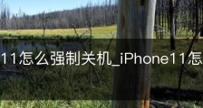 iphone11怎么强制关机_iPhone11怎么强制关机?