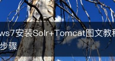 Windows7安装Solr+Tomcat图文教程/win7安装iis详细步骤