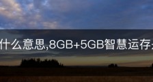 运存是什么意思,8GB+5GB智慧运存是什么意思