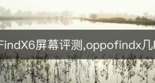 OPPOFindX6屏幕评测,oppofindx几k屏幕