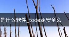 todesk是什么软件_todesk安全么