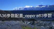 OPPOA36参数配置_oppo a63参数