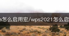 wpsvba怎么启用宏/wps2021怎么启用宏