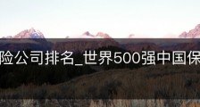 中国保险公司排名_世界500强中国保险公司排名