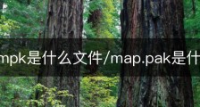 patch.mpk是什么文件/map.pak是什么文件