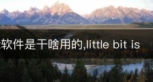 littlebit软件是干啥用的,little bit is