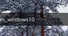 windows_windows10
