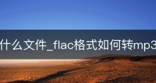 .flac是什么文件_flac格式如何转mp3