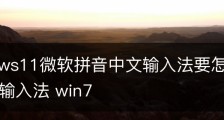 Windows11微软拼音中文输入法要怎么安装-微软拼音输入法 win7